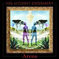 The Accident Experiment : Arena